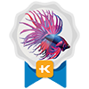 COC Freshwater Fish 2021 (2nd Winner)