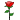 rose emoticon-rose