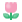 flower: