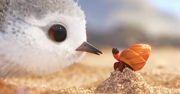 Piper: Film Animasi Berbobot, Nontonnya 