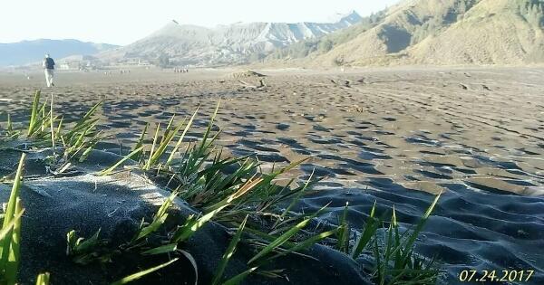 Fenomena Langka Lautan Pasir  Gunung  Bromo Berselimut 