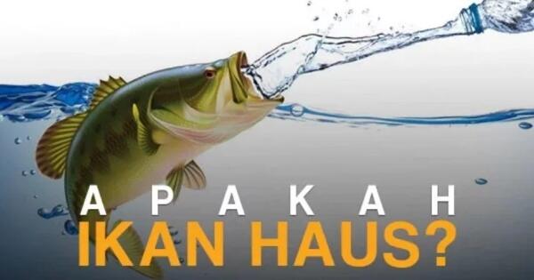 Buat Yang Penasaran Apakah Ikan Bisa Haus Apa Nggak | KASKUS