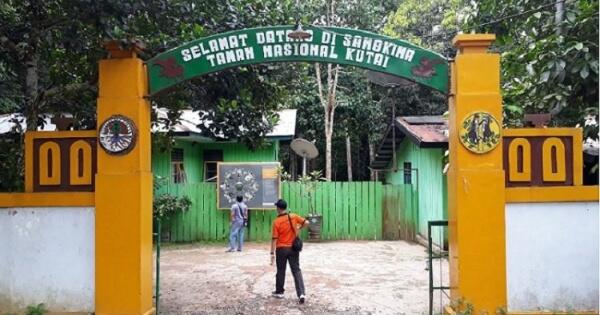 Taman Nasional Kutai Dan Rahasia Di Dalamnya Kaskus