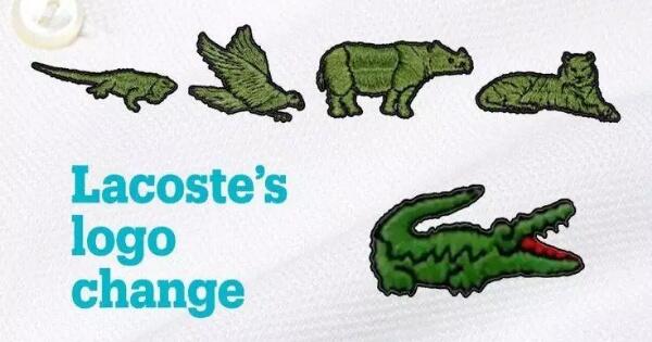 logo crocodile dan lacoste