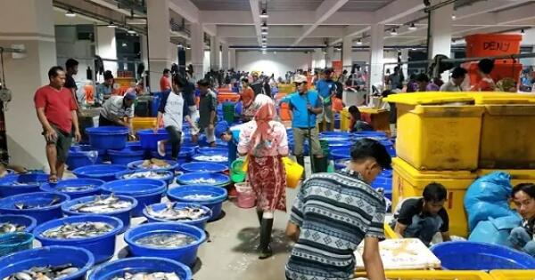 Pasar Ikan Modern Muara Baru Tsukiji Market Nya Indonesia