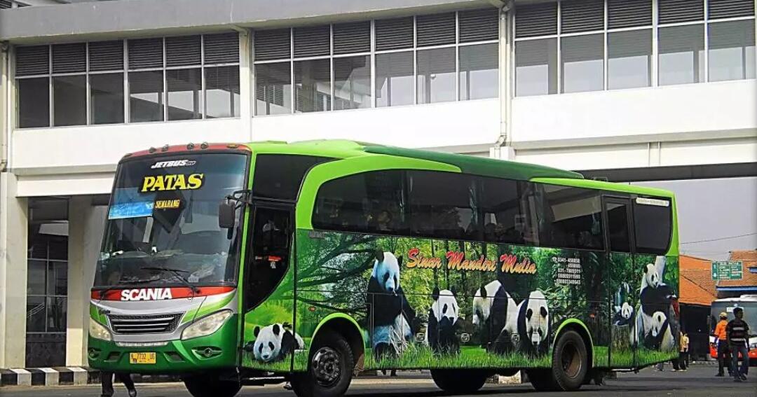 Unik dan  Kreatif  Inilah Bus AKAP yang Memakai Corak 