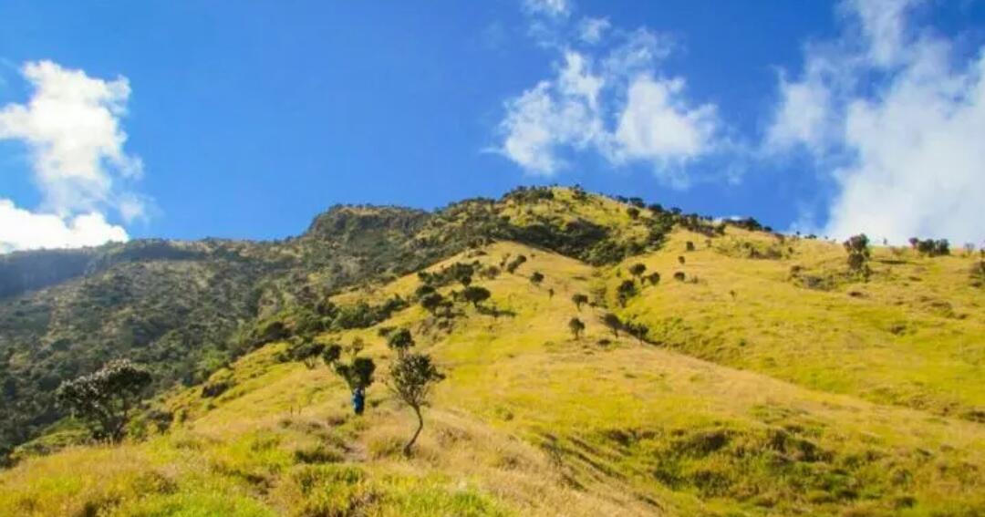 Pendakian Gunung Sumbing Via Bowongso. Jangan Pernah Bilang Capek, Jauh