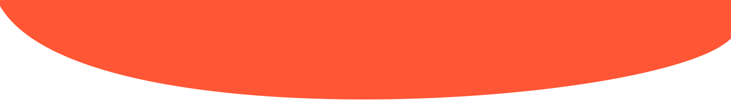 description__ornament