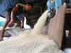 Dua Mantan PM Thailand Bebas Hukuman