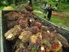Satu Orang Tewas Tertimpa Bangunan Rubuh Akibat Gempa