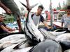 Alat Deteksi Dini Tsunami masih Minim