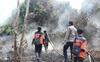 Provinsi Kalbar Berpeluang Ekspor Beras