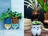 Shaloom Razade Itu Definisi Penampilan Sederhana Sekaligus Classy. Contek Deh, Girls!