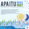 Festival Underwater di Banyuwangi, Mengenal Lebih Dekat Manfaat Konservasi Kelautan