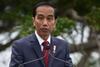 Luhut: Jokowi juga Manusia