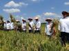 Pastikan Alokasi Anggaran, Kementan Sediakan 1.000 Mesin Pengering untuk Petani