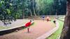 5 Aktivitas yang Bisa Kamu Lakukan di Hutan Kota Srengseng, Jakarta
