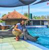 8 Wisata Sepanjang Jalur Pantura yang Asyik Dikunjungi Saat Mudik