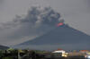 Abu Vulkanis Gunung Agung Rusak Tanaman, Hewan Ternak Kelaparan