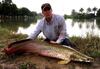 Temukan Arapaima? Ini yang Bisa Kalian Lakukan