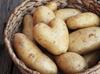 8 Hidangan dengan Bahan Dasar Daging Mentah, Berani Coba?