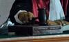 Parpol Diminta Konsisten tak Mengusung Caleg Eks Koruptor