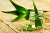 7 Manfaat Tersembunyi Aloe Vera Gel, Skincare Favorit Millenials