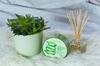 7 Manfaat Tersembunyi Aloe Vera Gel, Skincare Favorit Millenials