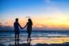 5 Alasan Introvert Gampang Berteman Baik dengan Hewan, Apa Saja?