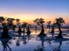4 Pantai Kece di Pulau Masalembu Madura Ini Bikin Betah Liburan!