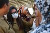 Bantuan Bencana Palu Rawan Politik Uang, Begini Kata Bawaslu