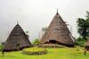 5 Tradisi Unik Suku Toraja yang Mendunia