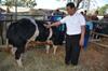 Buka Youth Expo and Festival, Menpora Bangga Atas Capaian Prestasi Pemuda Indonesia