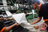 Pemerintah Waspadai Penyebaran Penyakit Hewan African Swine Fever