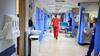 Pemerintah Waspadai Penyebaran Penyakit African Swine Fever