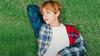 Woles Abis, Ini 9 Cara Hadapi Haters ala Bintang KPop