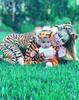 10 Potret Putri Khloe Kardashian Rayakan Halloween Party, Menggemaskan
