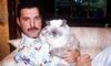 6 Friendship Goals ala Queen di Film Bohemian Rhapsody yang Legendaris