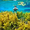 Instagramable Banget! 7 Gardu Pandang dengan View Menawan di Malang