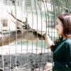 6 Tips Liburan ke Swiss ala Ayudia-Ditto, Nyaman dan Bikin Makin Betah