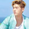 Manis Banget, Diam-diam 6 Idol KPop Ini Pelihara Kucing Lho