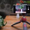 Kamera DSLR vs Mirrorless: Mana yang Paling Cocok untuk Keperluanmu?