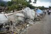 Status Gunung Anak Krakatau Masih Siaga
