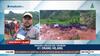Longsor Sukabumi Buntut Alih Fungsi Lahan Konservasi