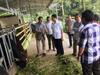 Kini Kursus Gamelan Bali Hadir di Peru