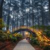 7 Destinasi Wisata di Bandung Paling Hits dan Wajib Dikunjungi