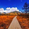 Bagai Bertualang di Afrika, Ini 7 Pesona Baluran yang Wajib Kamu Tahu