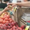 10 Makanan Ini Bisa Membantumu saat Sakit Cacar Air, Gak Bikin Gatal