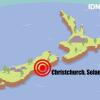 10 Fakta Senapan AR-15, Senjata Teroris Penembakan Masjid Christchurch