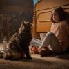 Selain 'Us', 5 Film Hollywood Punya Alur yang Bikin Ngeri & Merinding